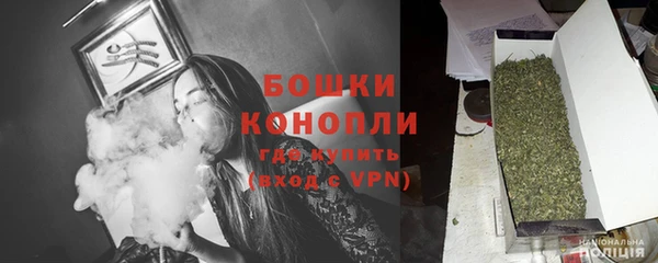 дмт Белокуриха