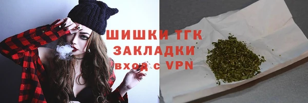 гидра Богородицк