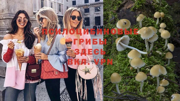 дмт Магадан