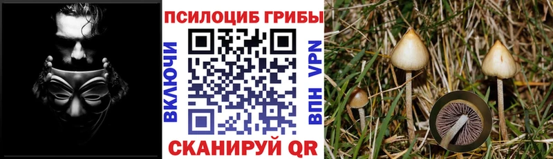 Галлюциногенные грибы ЛСД  Белокуриха 