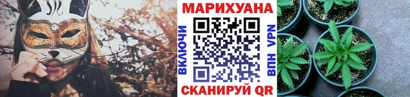Марихуана марихуана Белокуриха